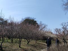 -无锡梅园公园