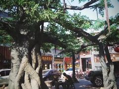 -大召寺明清一条街
