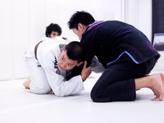 -菠萝格斗巴西柔术训练馆