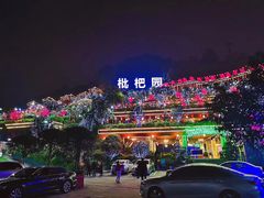 -独雅老火锅(原宏声巷店)