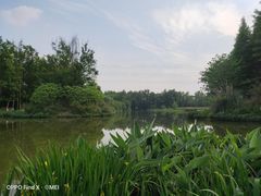 -桤木河湿地公园