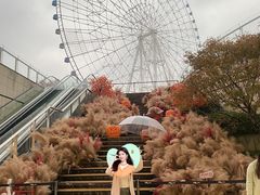 -南昌之星摩天轮