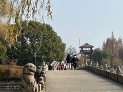 -苏州上方山国家森林公园