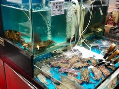 水产区-九层海鲜塔(市南店)