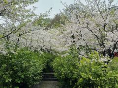 -南山植物园