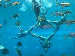 -瑞德姆美人鱼海底演艺主题餐厅(亚龙湾店)
