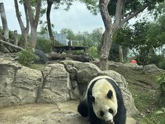 -武汉动物园