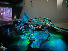 -墨尔本博物馆(Melbourne Museum)