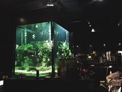 -Strawberry Butterfly草莓蝴蝶日式水果挞