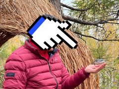 -莫尔道嘎国家森林公园