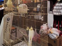 -潇湘·永州会馆(百子湾店)