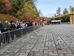 -五营红松林海景区