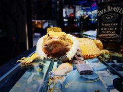 -梵薇Joker.V银饰工作室