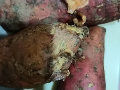 -永辉超市(嘉定宝龙广场店)