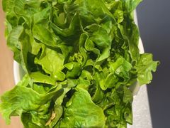 -八合里潮汕鲜牛肉火锅(吉大店)