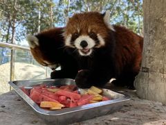 -水上乐园·欢乐世界