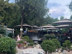 -蘇河湾·新鲁菜·泰山宴(泰山店)