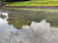 -本溪汤沟绿石谷森林公园