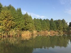 -梁鸿国家湿地公园