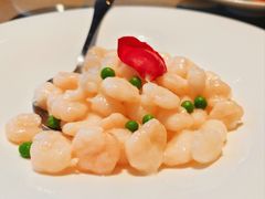 -天福苑(崇宁路店)