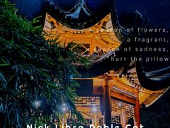 -阳台山森林公园