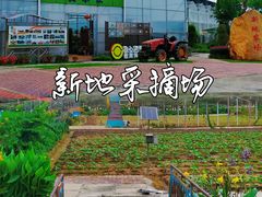 -新地休闲农场