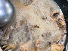 -皇鸽餐厅(五桂山分店)