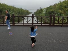 -黄海国家森林公园