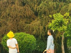 -天悦阁海景酒廊