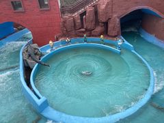 -南京银杏湖乐园