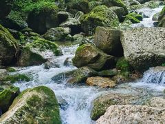 -青城山