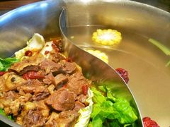 -手选潮汕鲜活牛肉火锅(二七广场店)