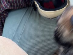 -宠颐生宠物医院·犬猫全科·皮肤科(商业街店)