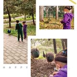 免费公园 近距离接触小动物