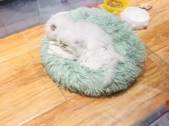 -狗道宠物(常熟印象城店)