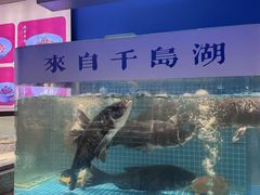 -鸽子侯·家宴·平价海鲜(市图书馆店)