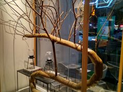 -喜茶(佛山顺德容桂天佑城店)