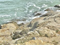-海源公园