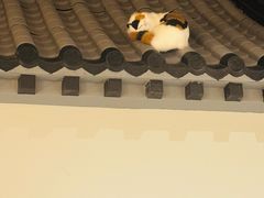 -北平小馆·烤鸭·家常菜(磨房北里店)