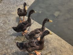 -太阳宫公园