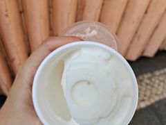 -洪馨椰子
