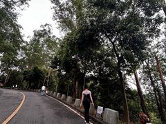 -大雁山风景区