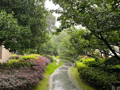 -同里湖度假村(二期店)