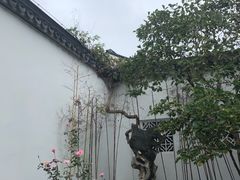 -苏州园林博物馆