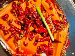 -阳阳老火锅(小南门店)