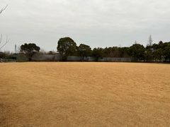 -上海国际音乐村