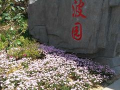 -武清南湖绿博园