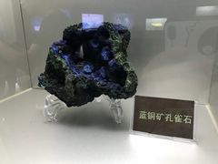 蓝铜矿孔雀石-甘肃地质博物馆