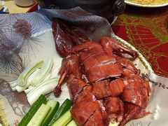 -福照楼汽锅鸡·云南菜(护国路店)