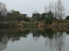 -桤木河湿地公园